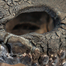 Azov Dweller (detail)